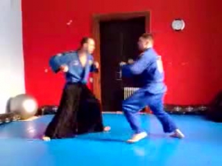 real aikido masters (360p)